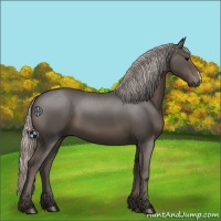 Horse Color:Silver Black 