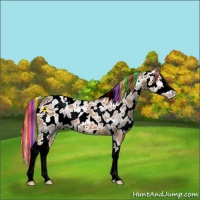 Horse Color:Painted White Spotted Chestnut Ice Splash Near Leopard 