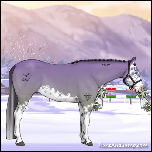 Horse Color:Buckskin Splash 