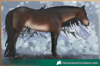 Horse Color:Brown Mushroom 