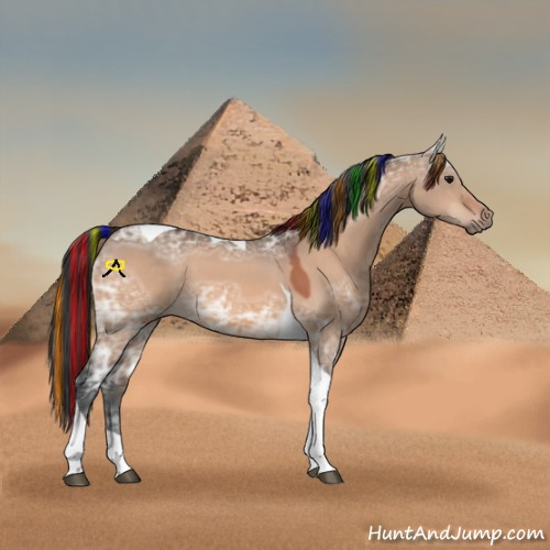 Horse Color:Painted Bay Ice Dun Tobiano 