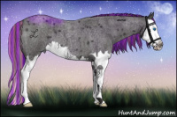 Horse Color:Painted Smoky Blue Roan Splash
