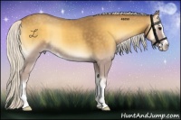 Horse Color:Silver Smoky Blue Onyx Sabino 