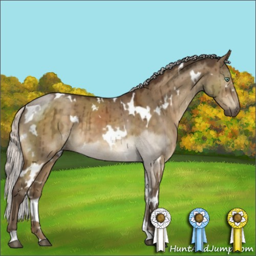 Horse Color:White Spotted Silver Buckskin Dun Mushroom Brindle 