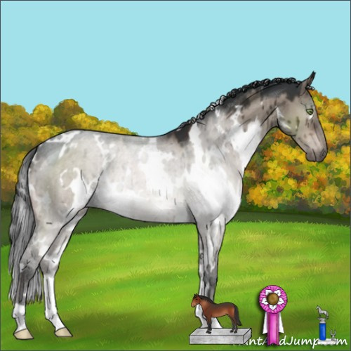 Horse Color:White Spotted Brown Dun Mushroom Brindle 