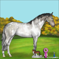 Horse Color:White Spotted Brown Dun Mushroom Brindle 