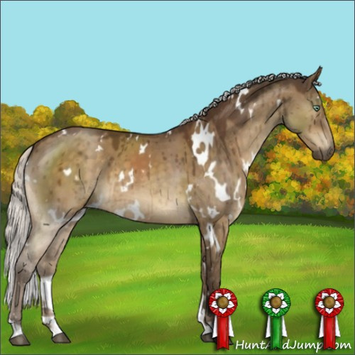 Horse Color:White Spotted Silver Buckskin Dun Mushroom Brindle