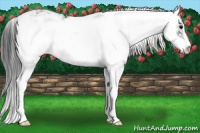 Horse Color:Black Sabino Rabicano