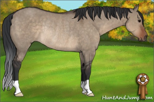 Horse Color:Brown Dun Rabicano 
