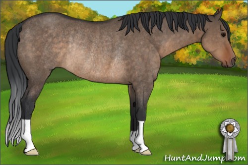 Horse Color:Brown Dun Rabicano 