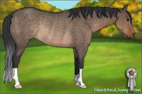 Horse Color:Brown Dun Rabicano 
