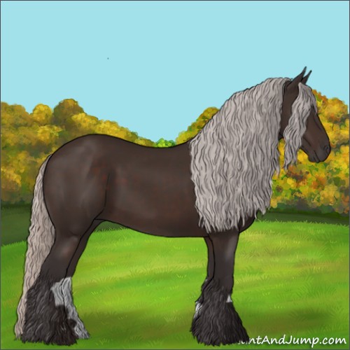 Horse Color:Silver Brown 