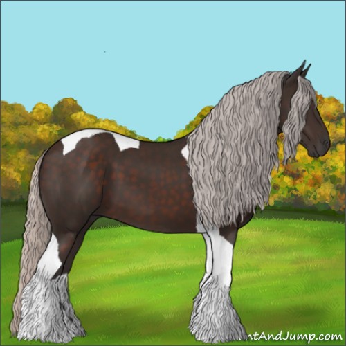 Horse Color:Silver Brown Tobiano 
