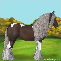 Horse Color:Silver Brown Tobiano 