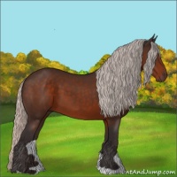 Horse Color:Silver Brown 