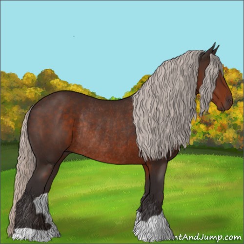 Horse Color:Silver Brown Rabicano 