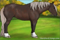 Horse Color:Silver Brown 