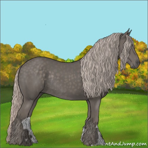 Horse Color:Silver Black Rabicano 