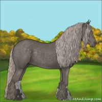 Horse Color:Silver Black Rabicano
