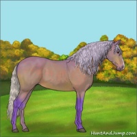 Horse Color:Watercolor Silver Buckskin 