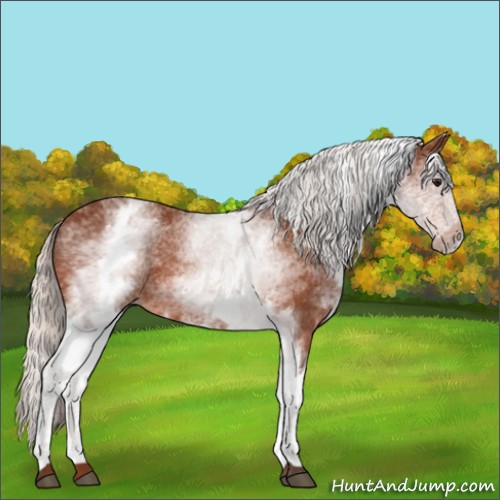 Horse Color:White Spotted Silver Bay 