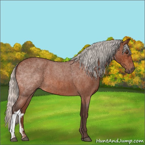 Horse Color:Silver Brown Roan 