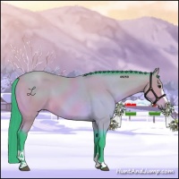 Horse Color:Watercolor Bay Sabino 