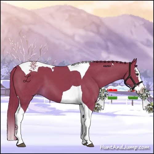 Horse Color:Watercolor Liver Chestnut Splash Tobiano 