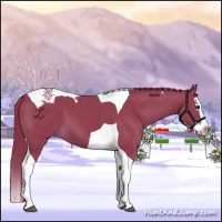 Horse Color:Watercolor Liver Chestnut Splash Tobiano 