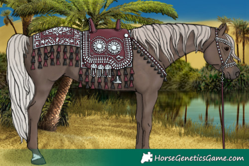 Horse Color:Silver Black 