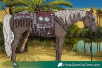 Horse Color:Silver Black 