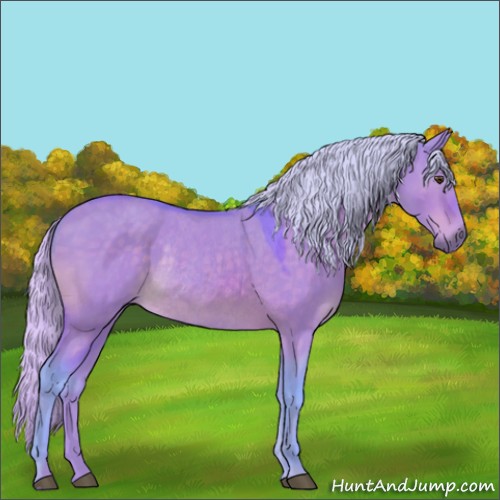 Horse Color:Watercolor Silver Bay Dun Rabicano