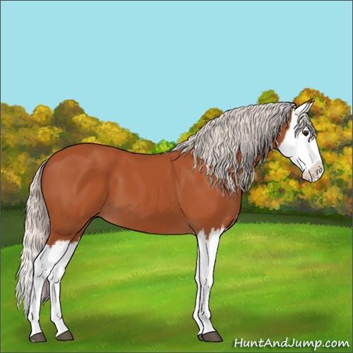 Horse Color:Silver Brown Splash 