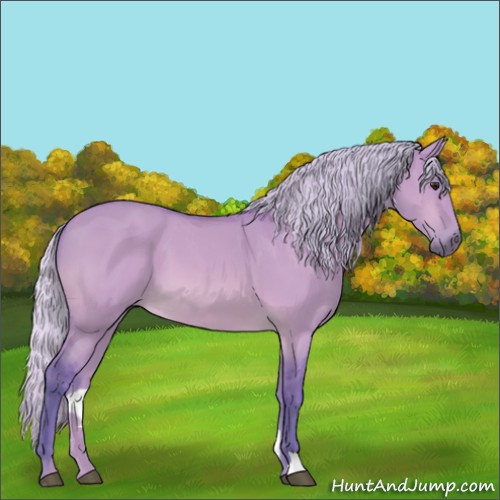 Horse Color:Watercolor Silver Bay Dun