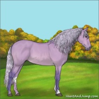 Horse Color:Watercolor Silver Bay Dun 