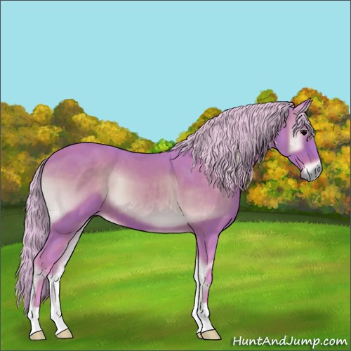 Horse Color:Watercolor Silver Brown Onyx