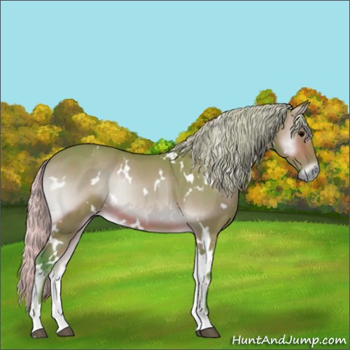 Horse Color:Watercolor White Spotted Silver Brown Onyx 