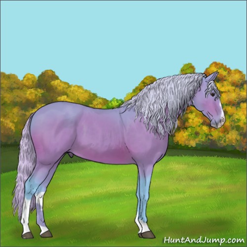 Horse Color:Watercolor Silver Brown Sabino 