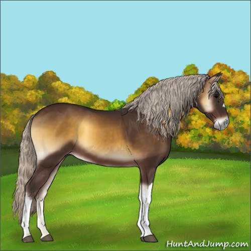 Horse Color:Silver Buckskin Onyx 