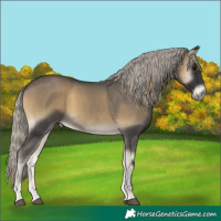 Horse Color:Silver Smoky Blue Onyx 
