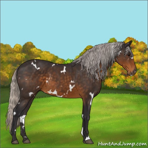Horse Color:White Spotted Silver Buckskin 