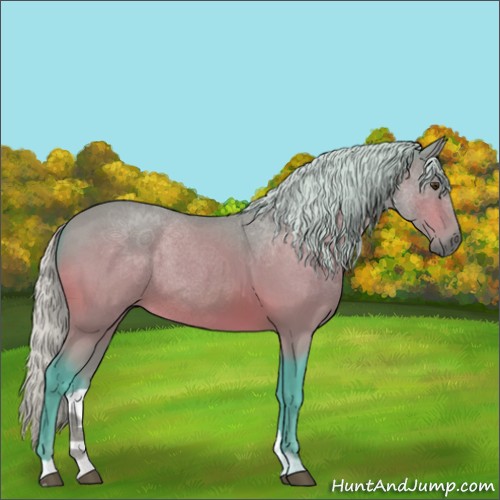 Horse Color:Watercolor Silver Buckskin