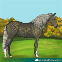 Horse Color:Silver Black Chinchilla 