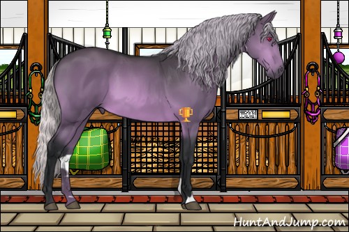 Horse Color:Silver Brown Chinchilla 