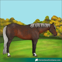 Horse Color:Silver Brown 