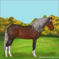 Horse Color:Silver Brown 