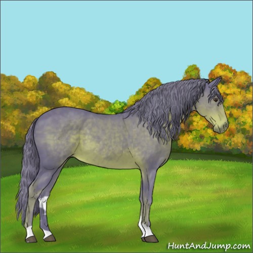 Horse Color:Watercolor Liver Chestnut 