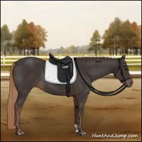Horse Color:Liver Chestnut Rabicano