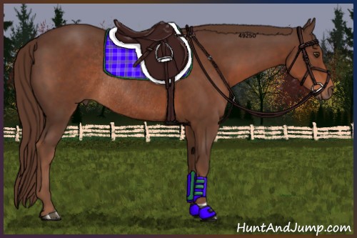 Horse Color:Liver Chestnut Rabicano 