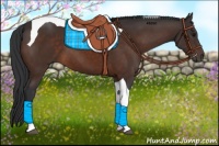 Horse Color:Brown Tobiano 